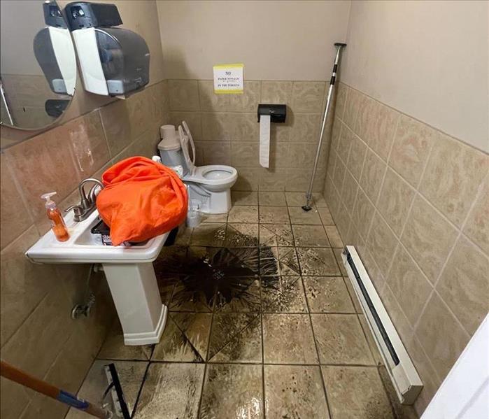 Sewage in a bathroom
